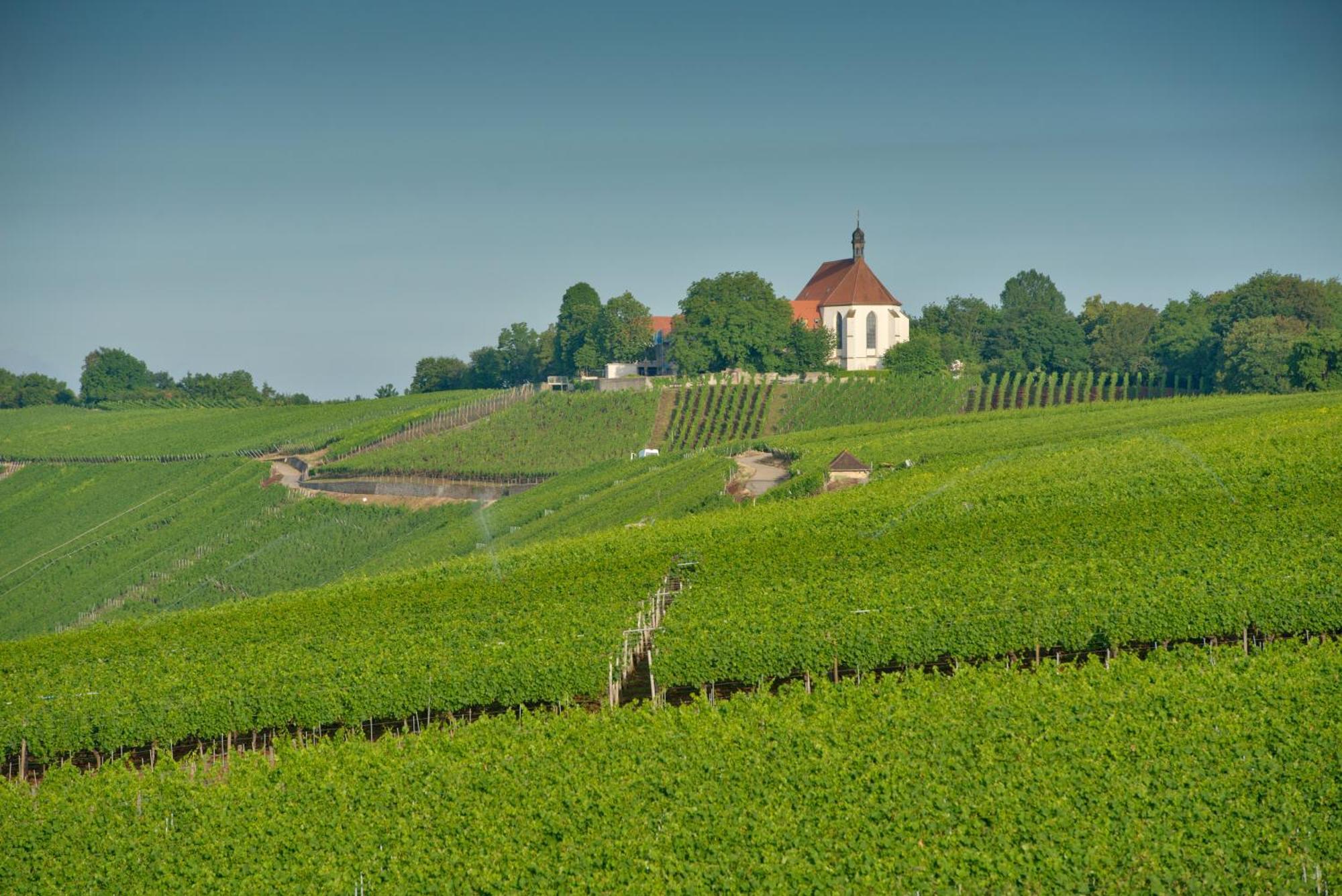 Vogelsburg Hotell Escherndorf Exteriör bild