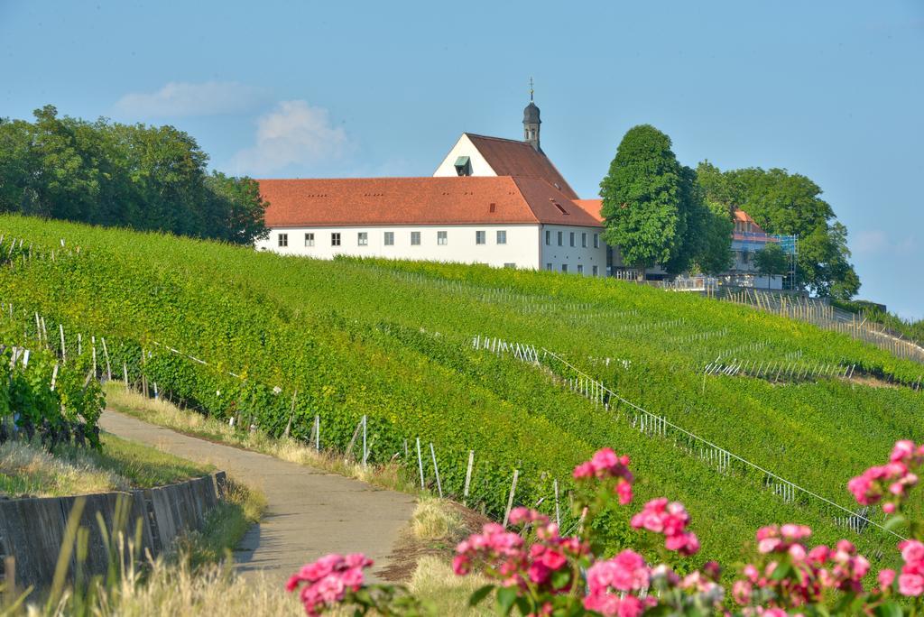 Vogelsburg Hotell Escherndorf Exteriör bild