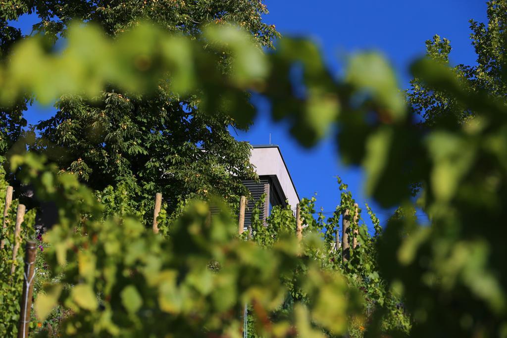 Vogelsburg Hotell Escherndorf Exteriör bild