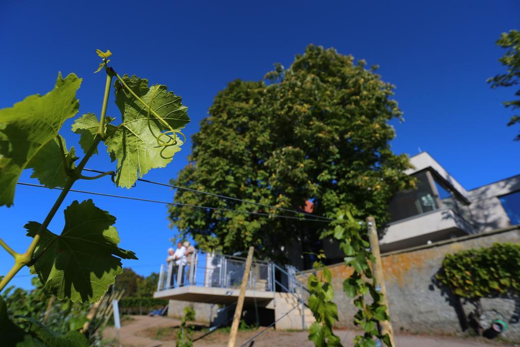 Vogelsburg Hotell Escherndorf Exteriör bild