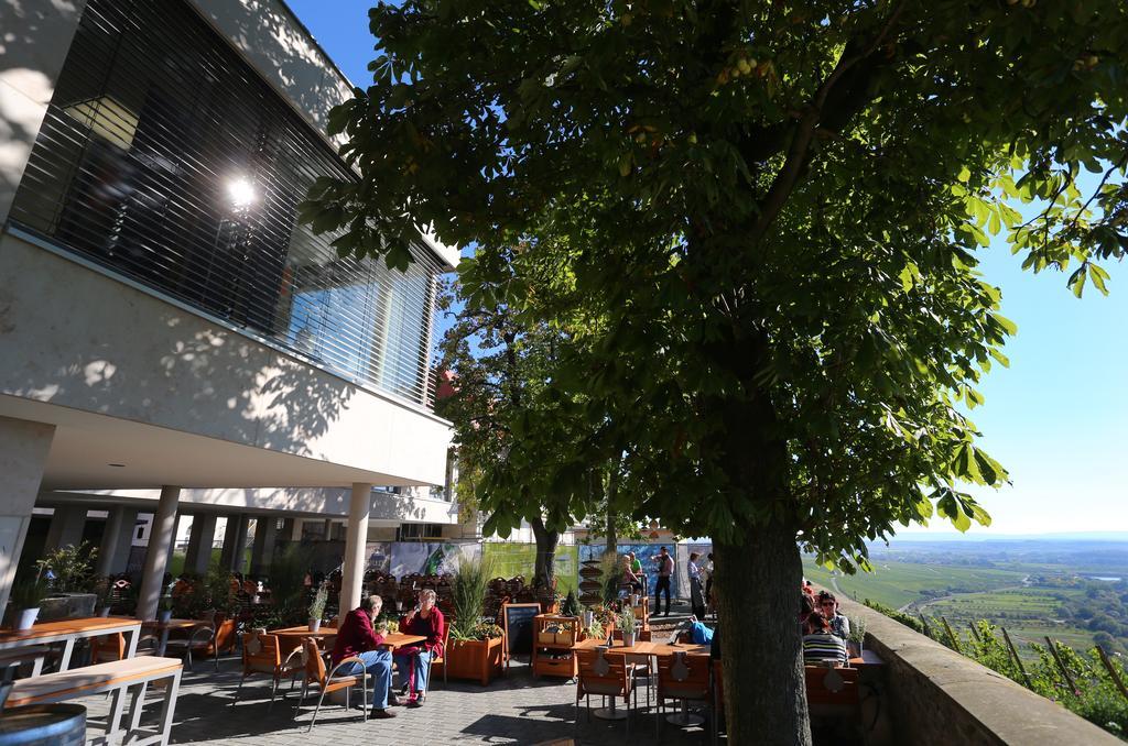 Vogelsburg Hotell Escherndorf Exteriör bild
