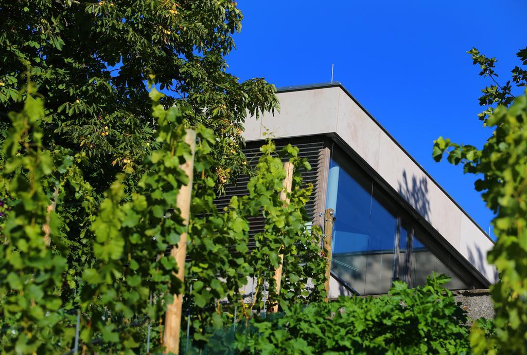 Vogelsburg Hotell Escherndorf Exteriör bild